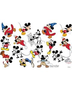 Copo com isolamento floral da Mickey Mouse Aço Inoxidável